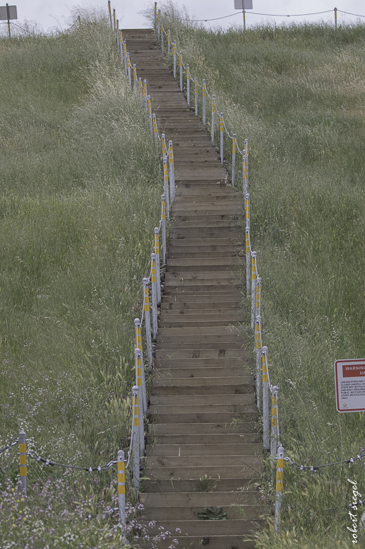 Sunnyvale Bay Trail